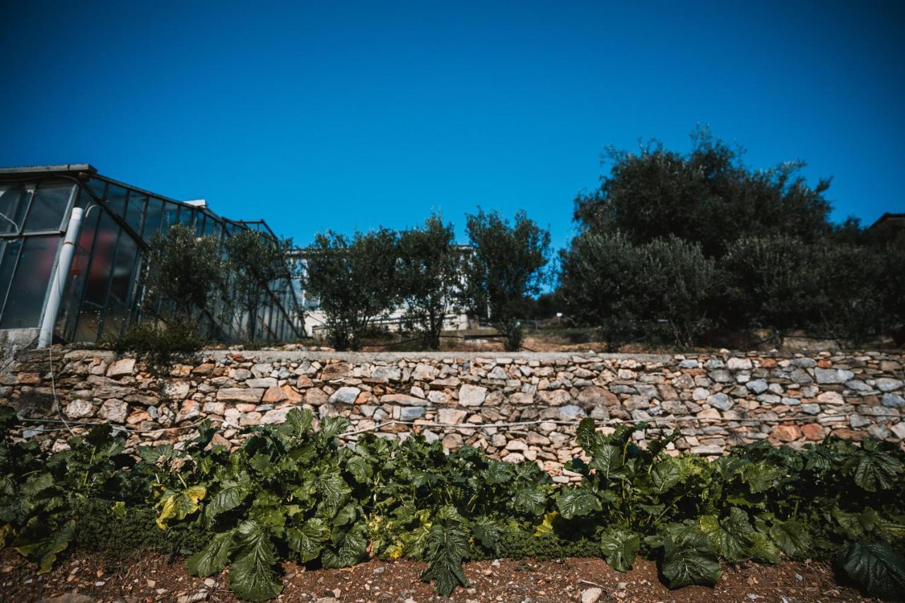 Agriturismo Rose Di Pietra Pietra Ligure Luaran gambar