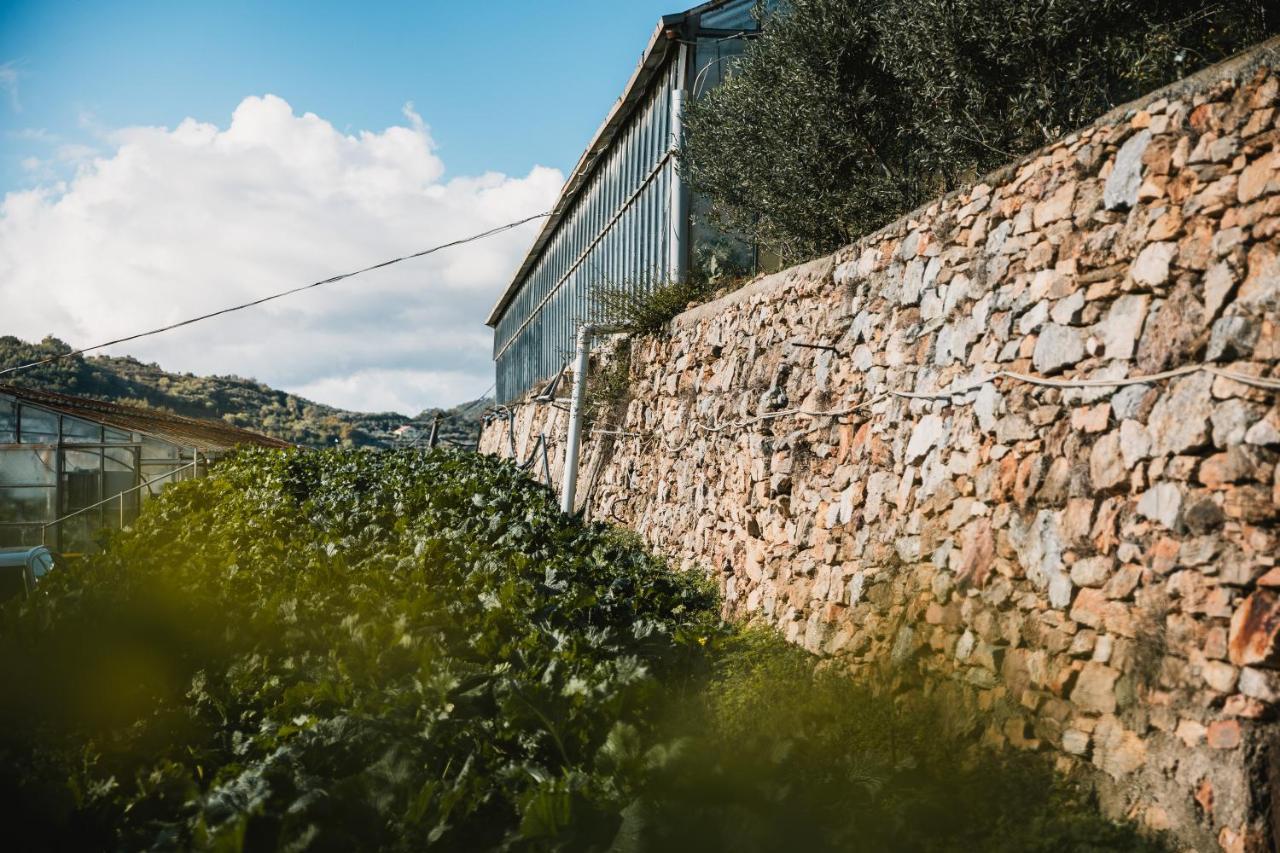 Agriturismo Rose Di Pietra Pietra Ligure Luaran gambar